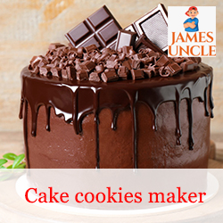 Cake maker Mrs. Prity Biswas in Gobardanga